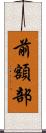 前額部 Scroll