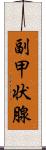 副甲状腺 Scroll