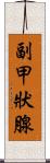 副甲狀腺 Scroll
