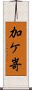 加ケ嵜 Scroll