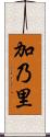 加乃里 Scroll