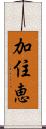 加住恵 Scroll