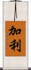 加利 Scroll