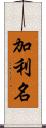 加利名 Scroll