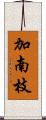 加南枝 Scroll