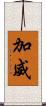加威 Scroll