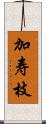 加寿枝 Scroll