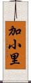加小里 Scroll
