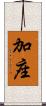 加座 Scroll