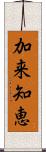 加来知恵 Scroll