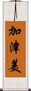 加津美 Scroll