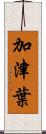 加津葉 Scroll