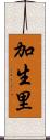 加生里 Scroll