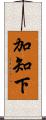 加知下 Scroll