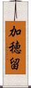 加穂留 Scroll