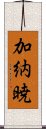 加納暁 Scroll