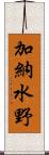 加納水野 Scroll