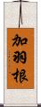 加羽根 Scroll