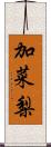 加菜梨 Scroll