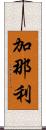 加那利 Scroll