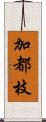 加都枝 Scroll