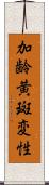 加齢黄斑変性 Scroll