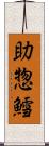 助惣鱈 Scroll