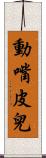動嘴皮兒 Scroll