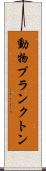 動物プランクトン Scroll