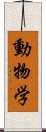 動物学 Scroll