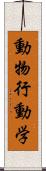 動物行動学 Scroll