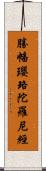 勝幡瓔珞陀羅尼經 Scroll