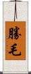 勝毛 Scroll