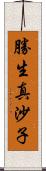 勝生真沙子 Scroll