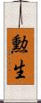 勲生 Scroll