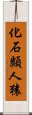 化石類人猿 Scroll