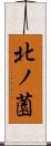 北ノ薗 Scroll