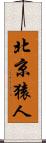 北京猿人 Scroll