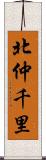 北仲千里 Scroll