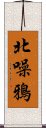 北噪鴉 Scroll