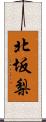 北坂梨 Scroll