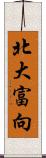 北大富向 Scroll