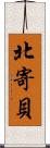 北寄貝 Scroll