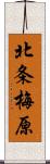 北条梅原 Scroll