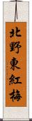 北野東紅梅 Scroll