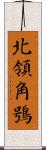 北領角鴞 Scroll