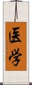 医学 Scroll