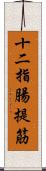 十二指腸提筋 Scroll