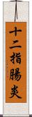 十二指腸炎 Scroll
