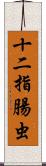 十二指腸虫 Scroll